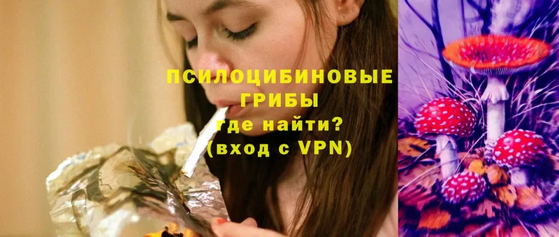 OMG сайт  Скопин  Псилоцибиновые грибы мухоморы  где продают  